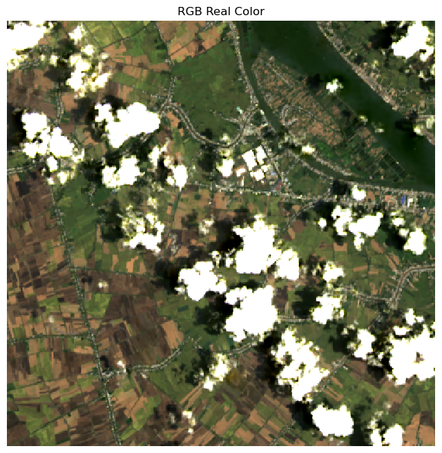 Sample input satellite image