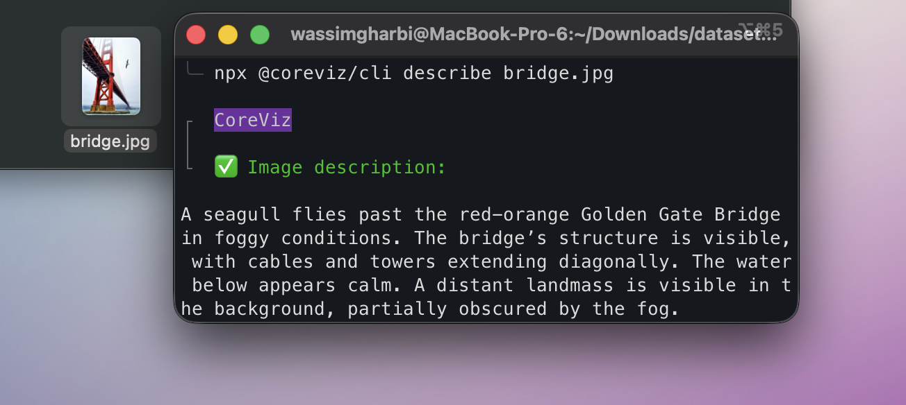 Screenshot of CoreViz CLI describing an image using AI.