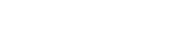 AnythingLLM Chrome Extension logo