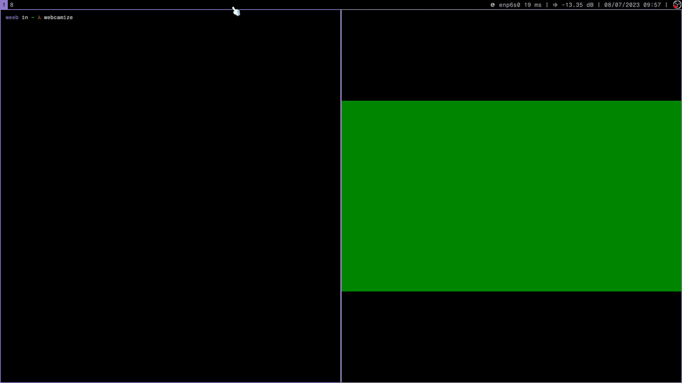 Демонстрация работы webcamize