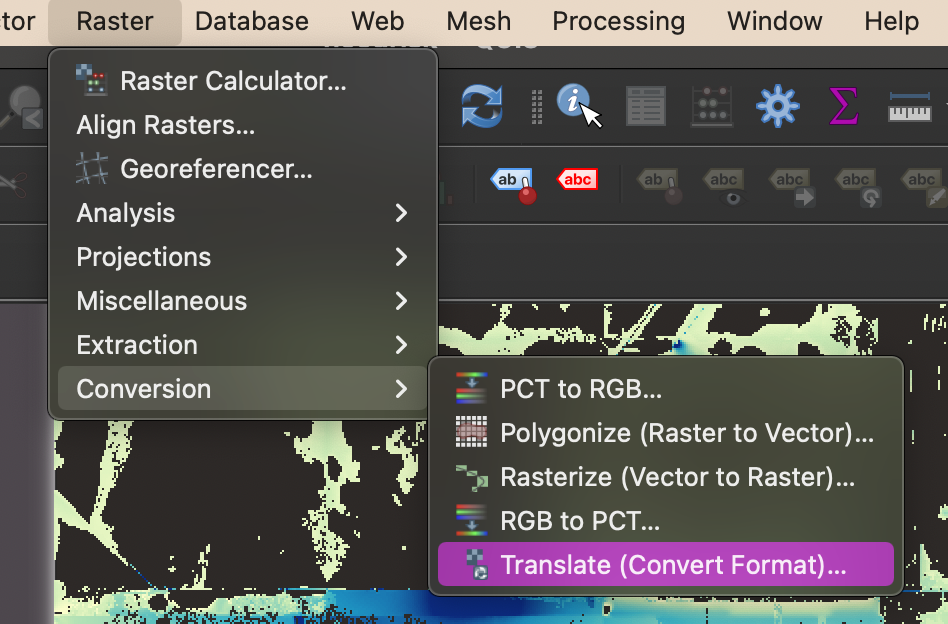 Raster Conversion Screenshot