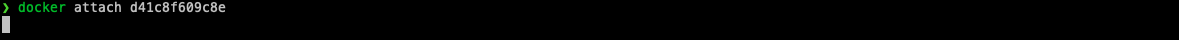 Docker attach command image