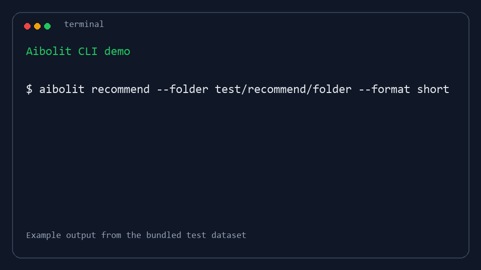 Aibolit CLI usage example