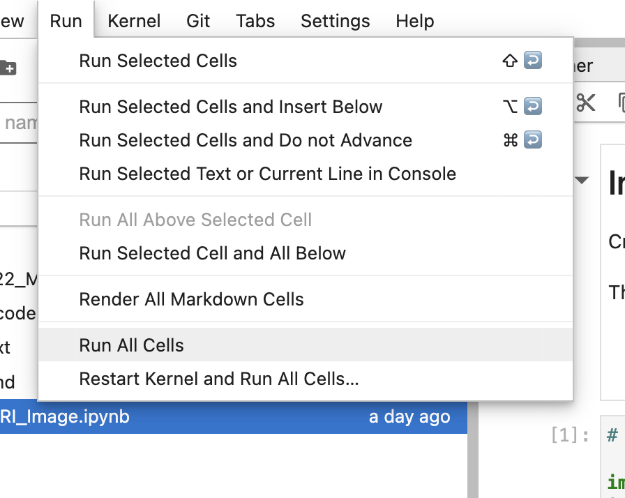 JupyterLab Run menu - Run All Cells