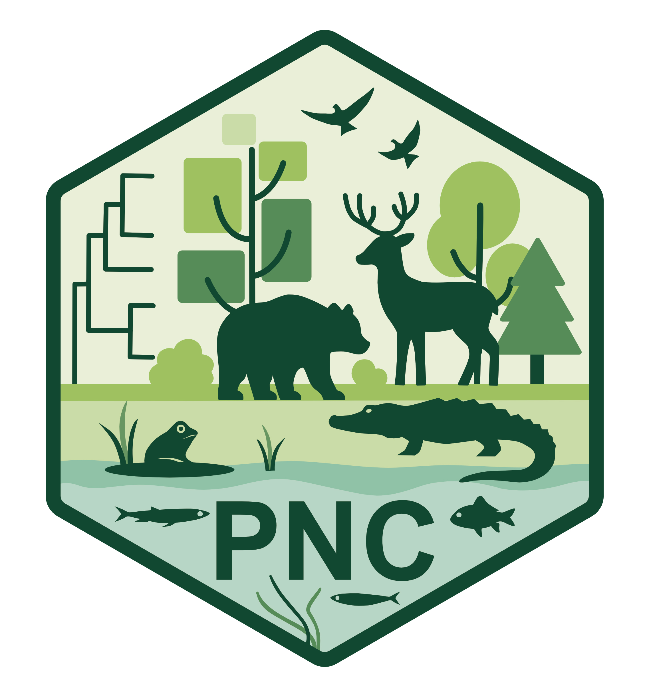 PNC logo