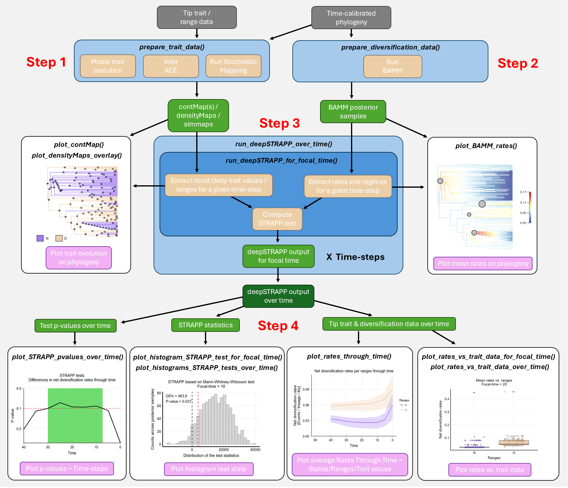 Simplified deepSTRAPP workflow