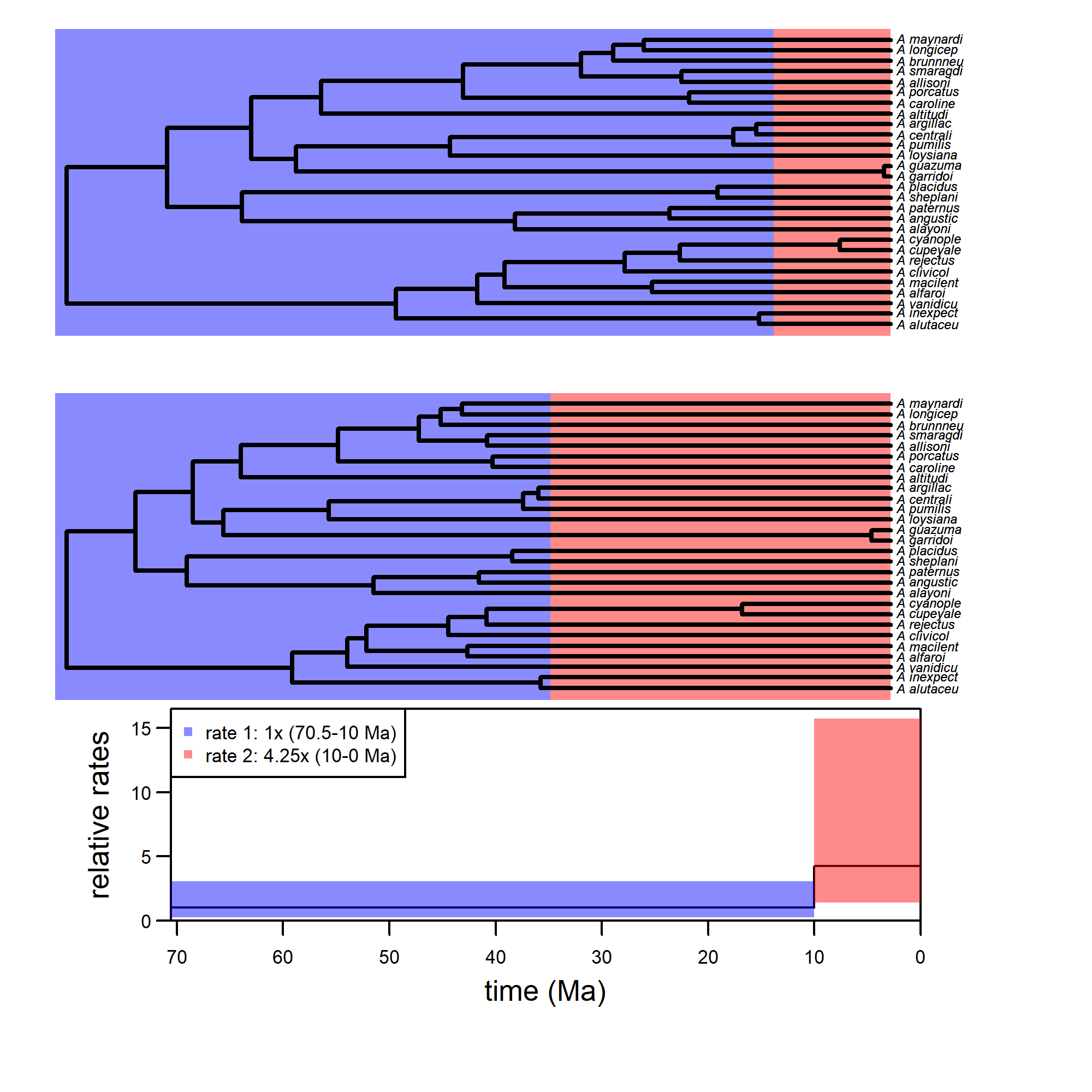 Figure 10. TimeSlice plot with a split at 10 Ma