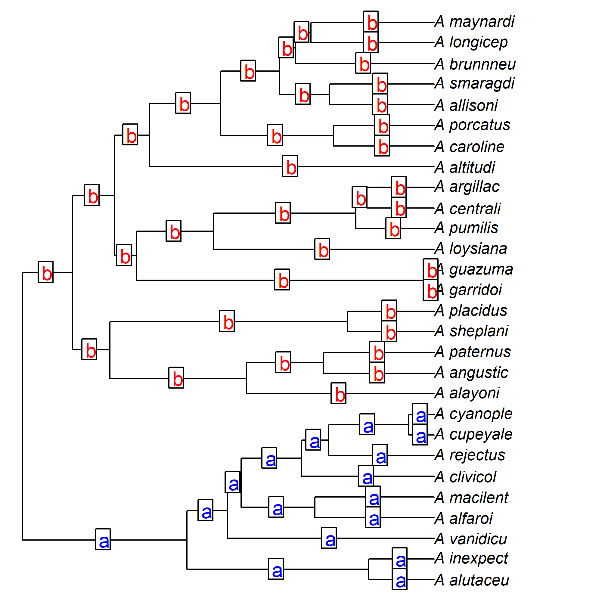 Figure 7. Two clades used in the multipsi model