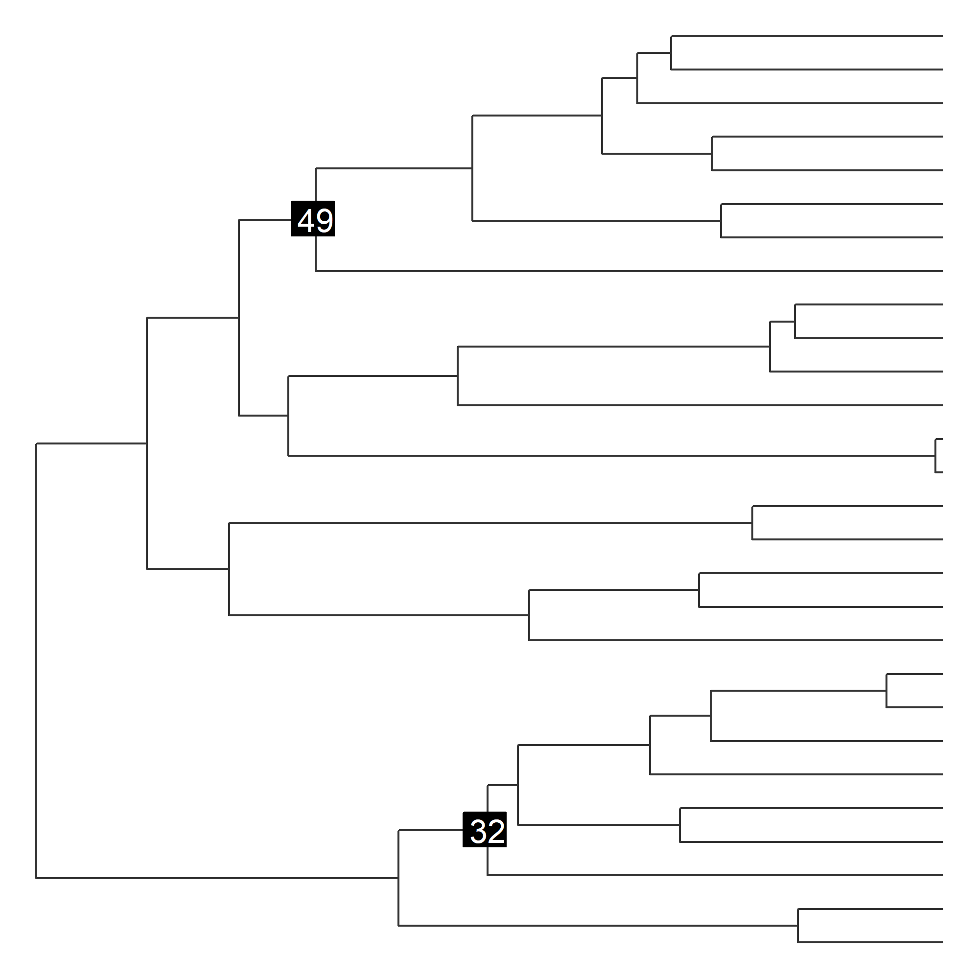 Figure 8. Lineages with different rates of evolution
