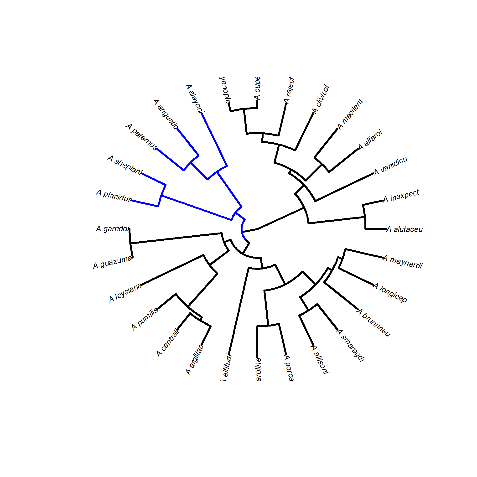 Figure 9. The subset of the tree showing the rate heterogeneity estimated from the traitMedusa model