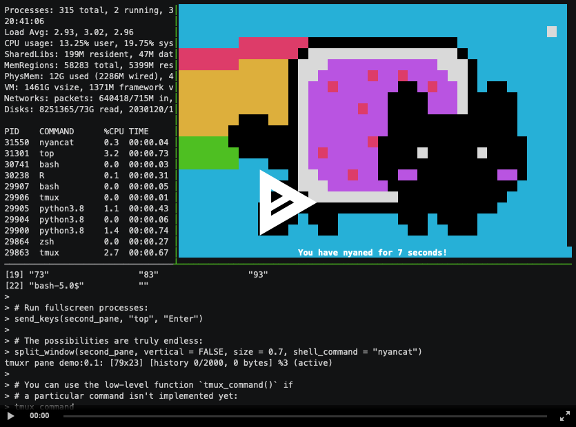 tmuxrdemonstration