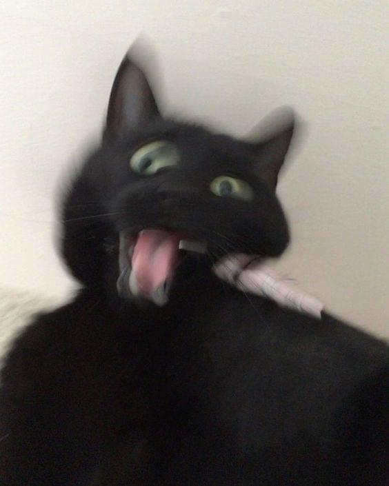 6c3e6b13gy1hh900ta17lj20fo0jlq3i