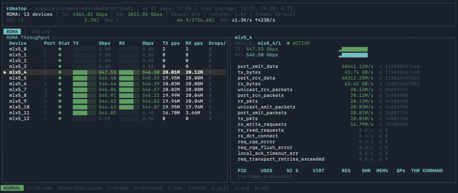 RDMA NIC traffic with eight participating GPU ranks on the source node.