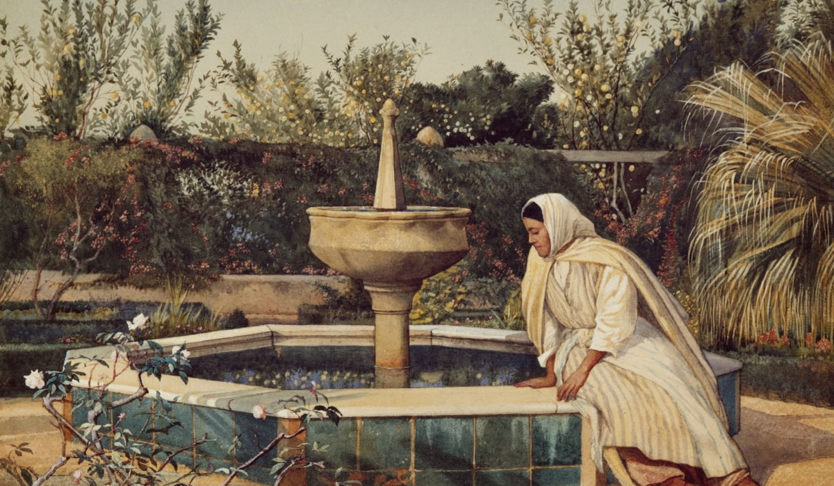 Search and Discovery