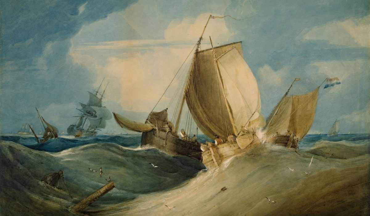 Grow in a beautiful area