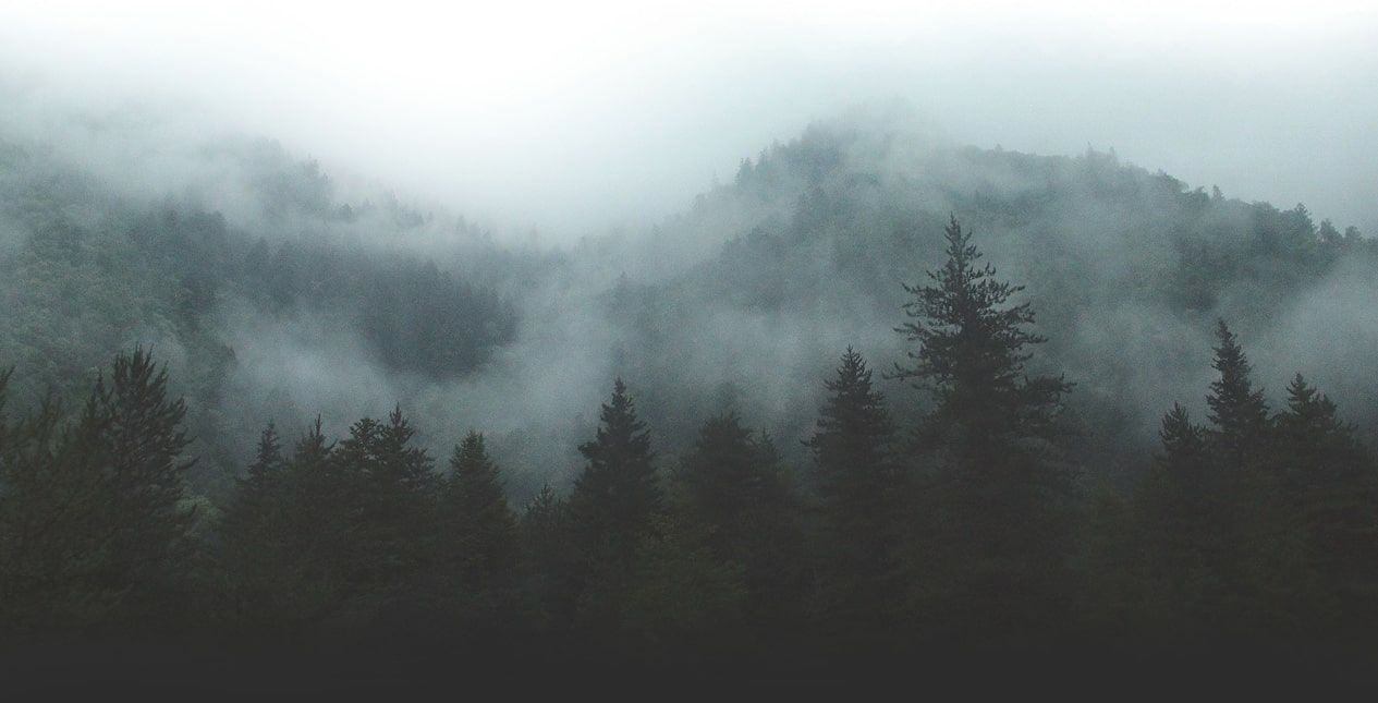 Blockchain Ecosystem Dashboard