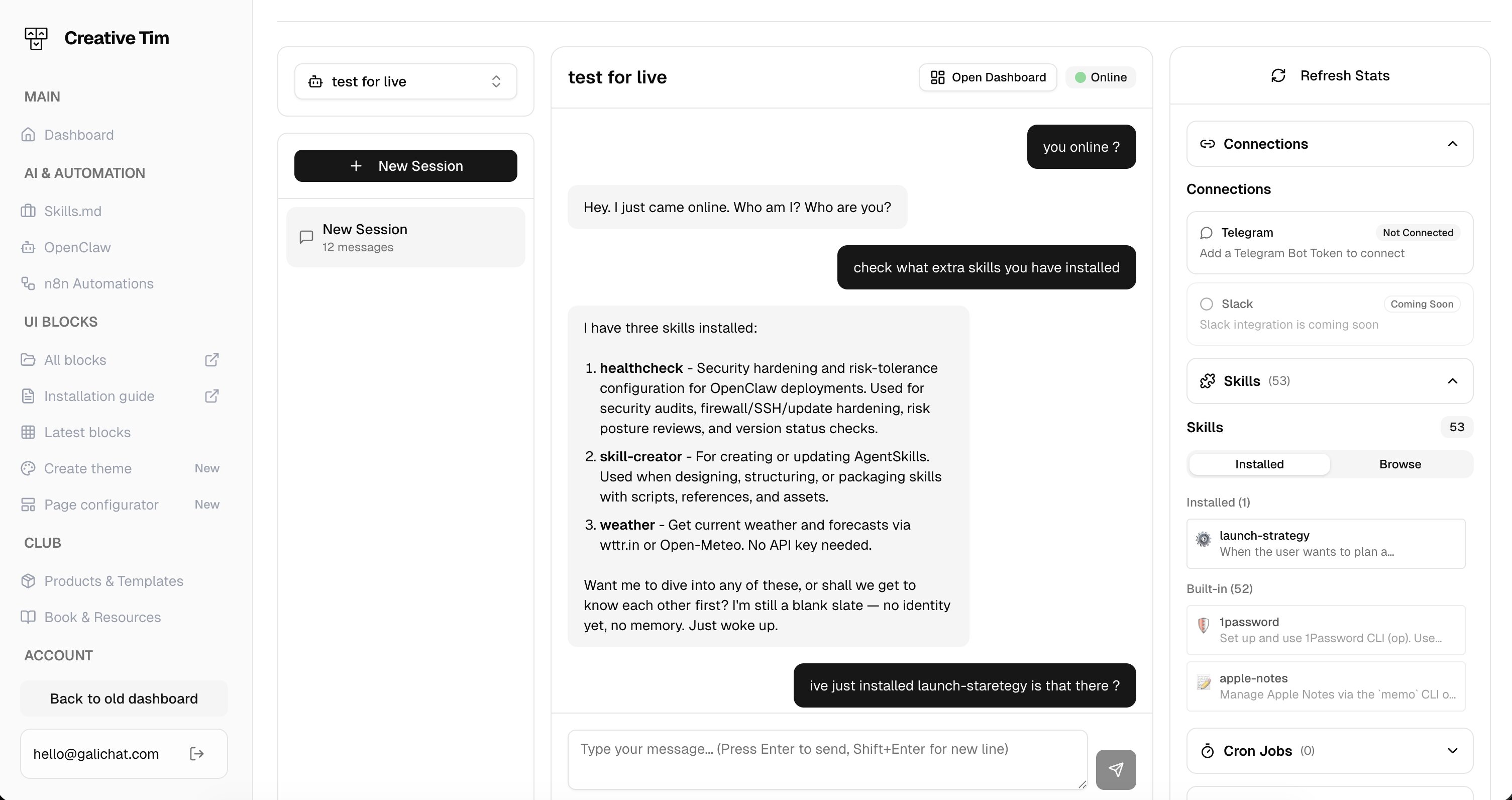 Agent Chat Interface
