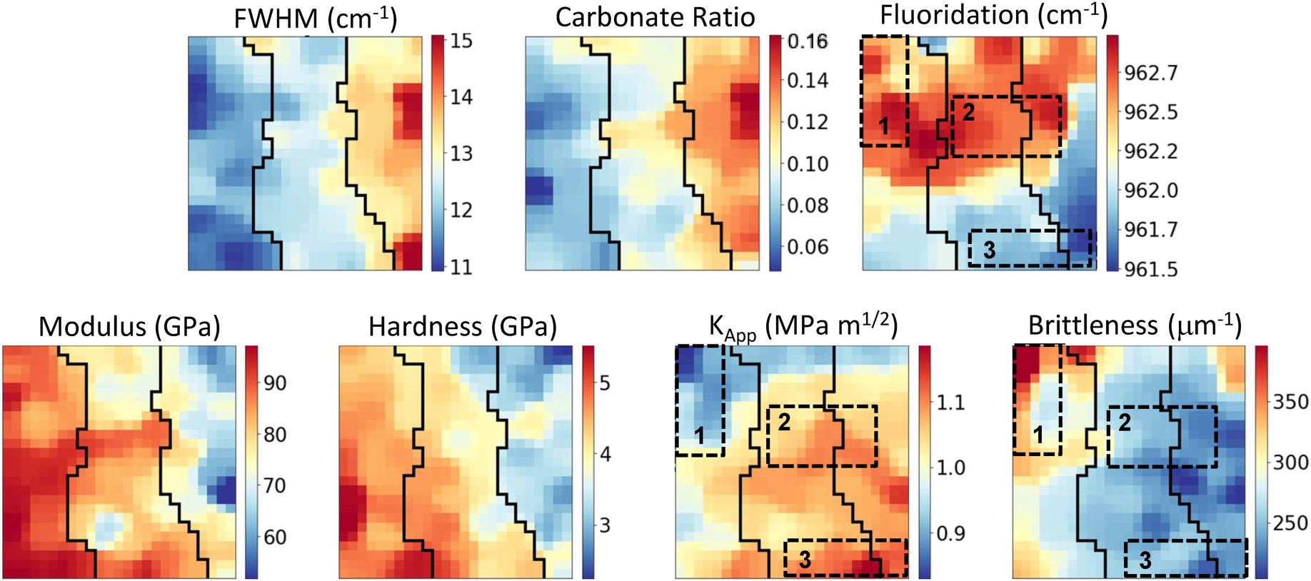 Self-organizing-map heat maps of the chemical and mechanical properties of old human enamel, with k-means zones (Figure 6 of Renteria et al., JMBBM 2022)