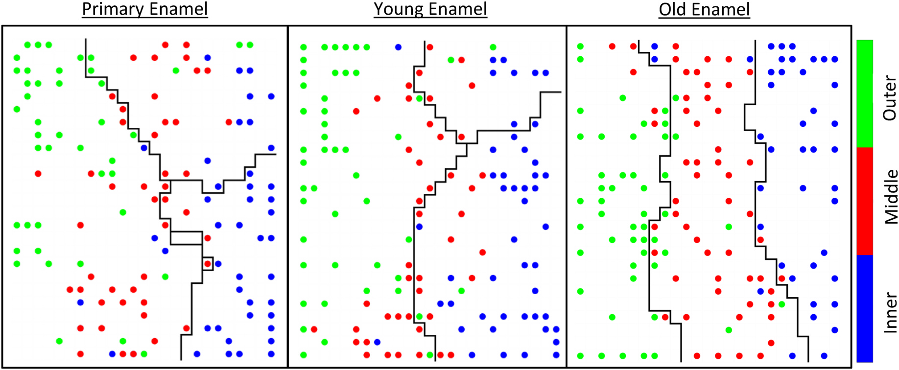 Figure 7 of the associated paper: cluster maps of the primary, young and old enamel groups, with each measurement colored by its region (outer, middle or inner enamel); with age, the data stratify by region