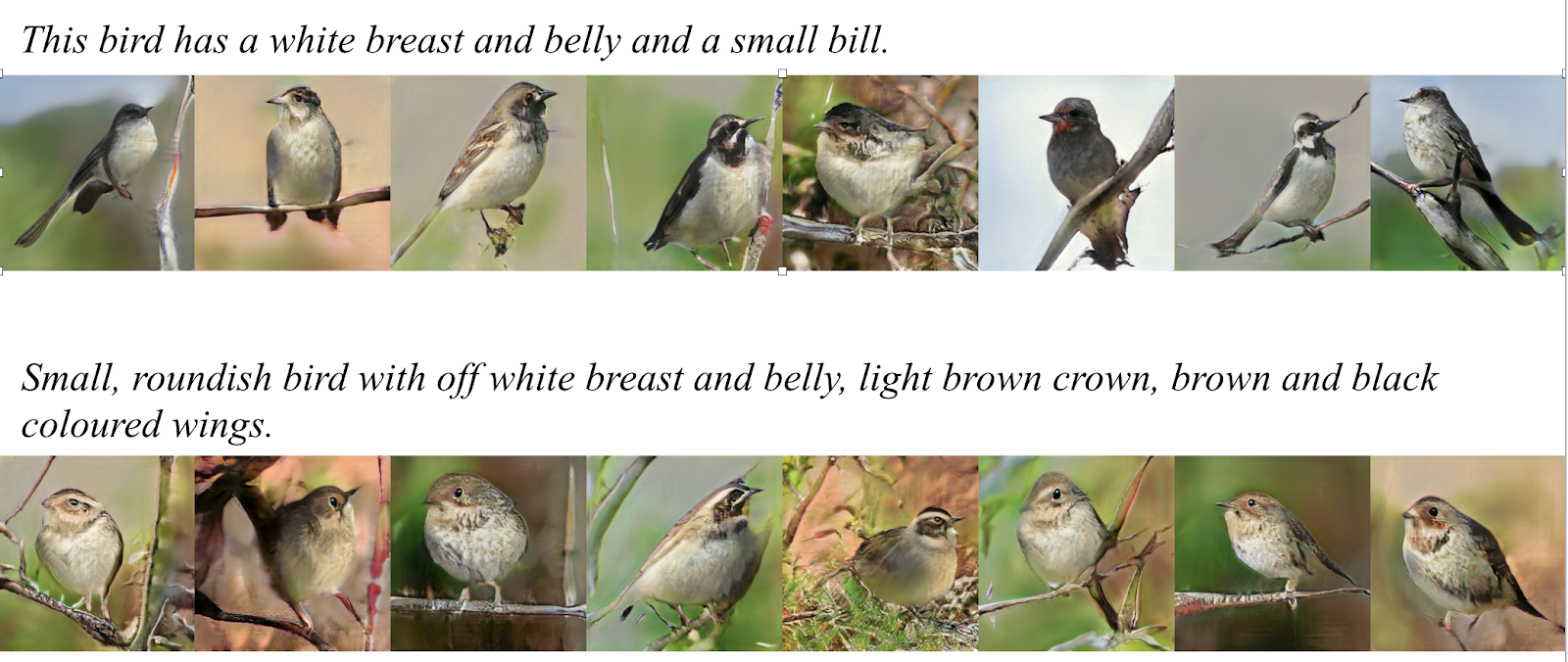 Sample from the birds dataset