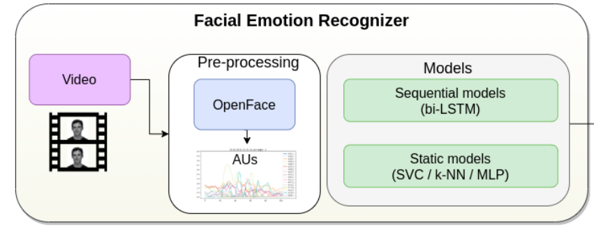 FacialArchitecture