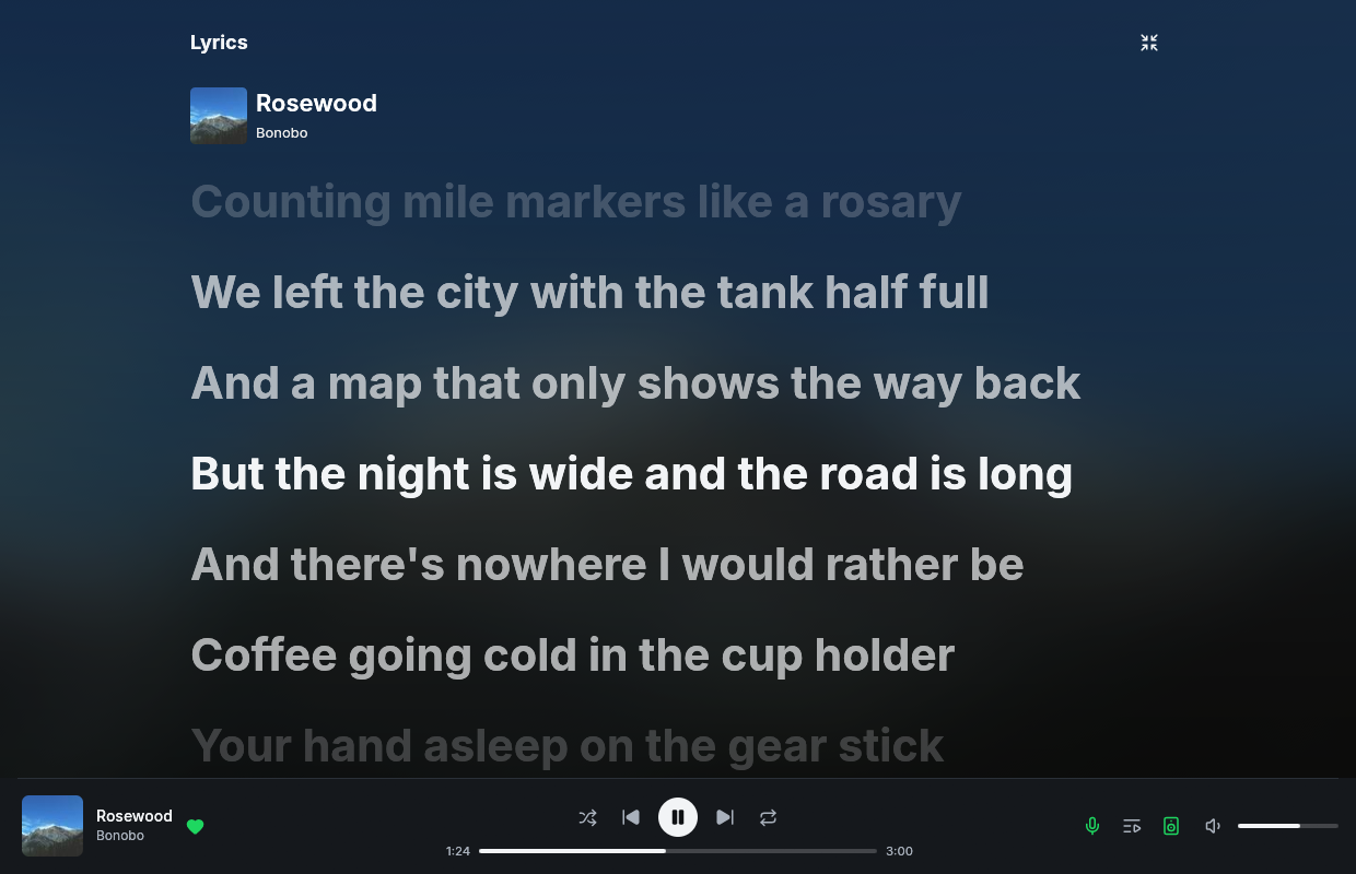 Fullscreen lyrics in Spotifast