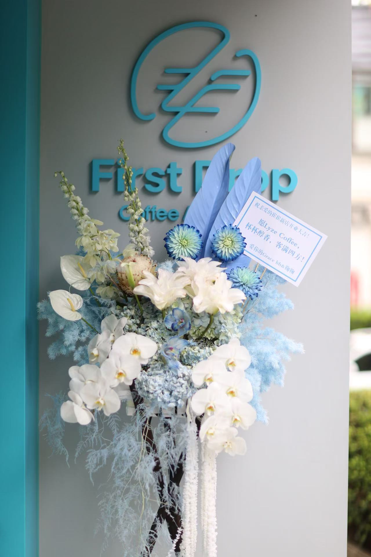 Lyze opening flowers