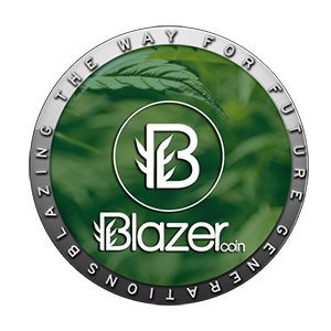 BlazerCoin's Icon