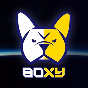 BoxyCoin's Icon