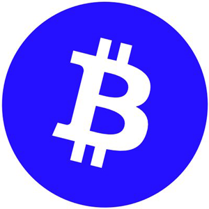 BTC Lite's Icon