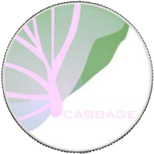 CabbageUnit's Icon