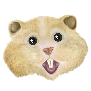 HamsterCoin's Icon