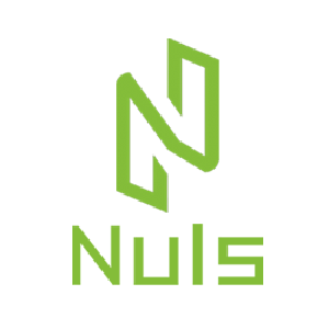 Nuls's Icon