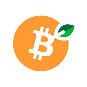 Bitcoin Revolution's Icon