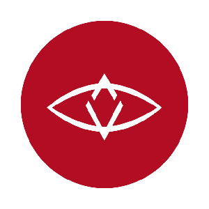 SingularDTV's Icon