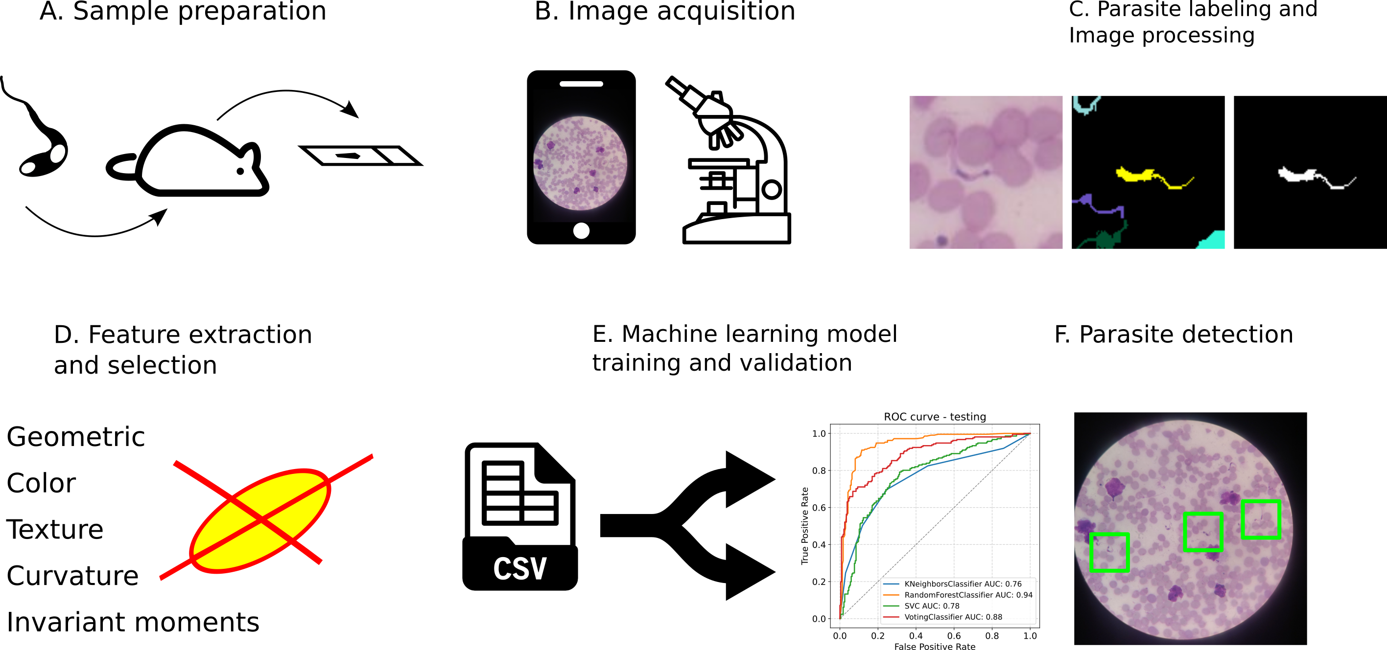 T. cruzi detection image analysis pipeline.