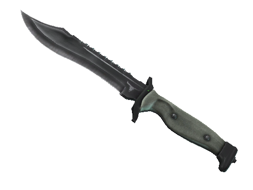 Knife Survival Bowie