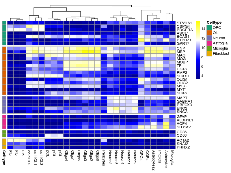 Heatmap