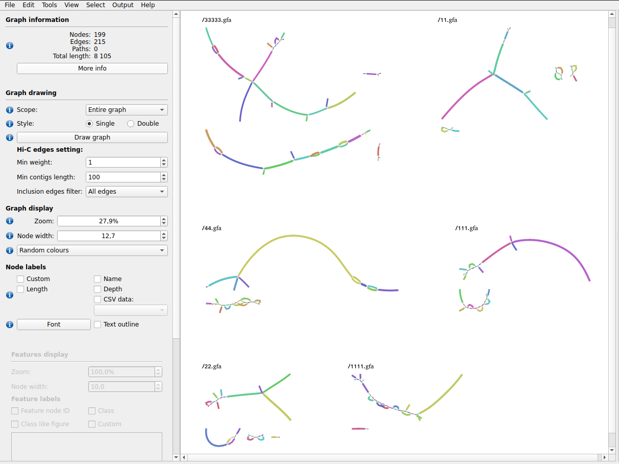 bandage_multigraph