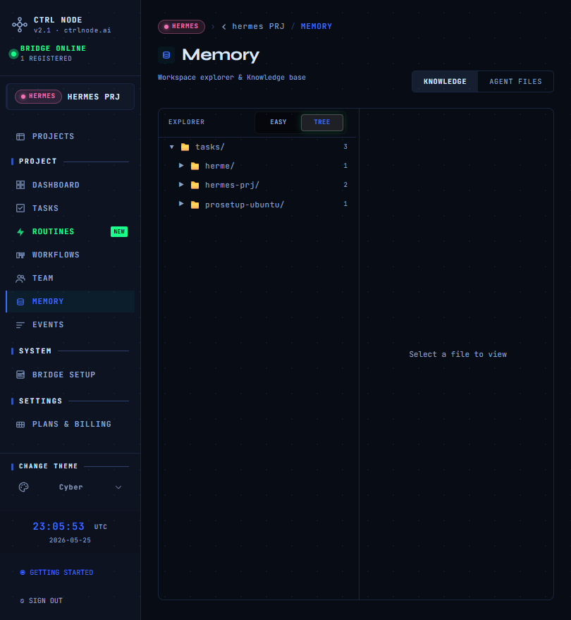 Memory explorer