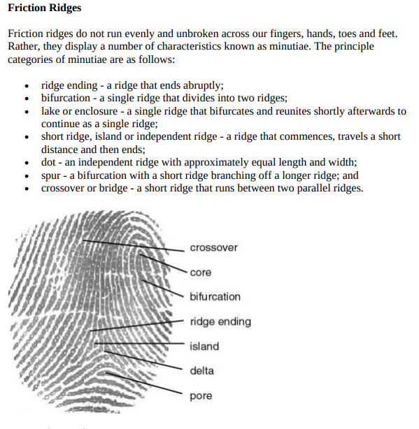 fingerprint