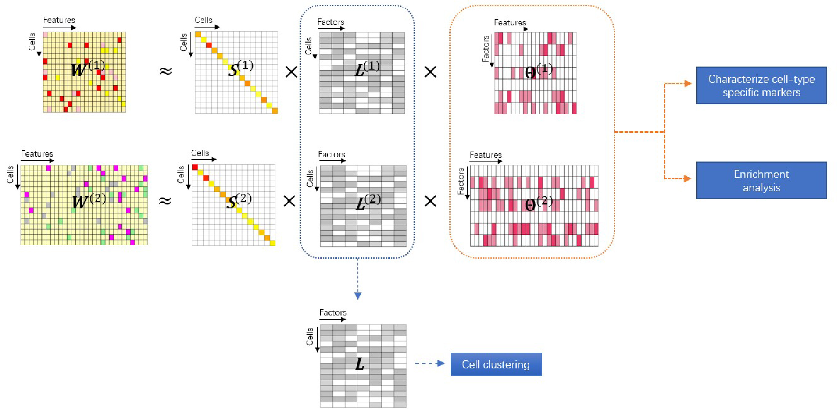 iPoLNG overview