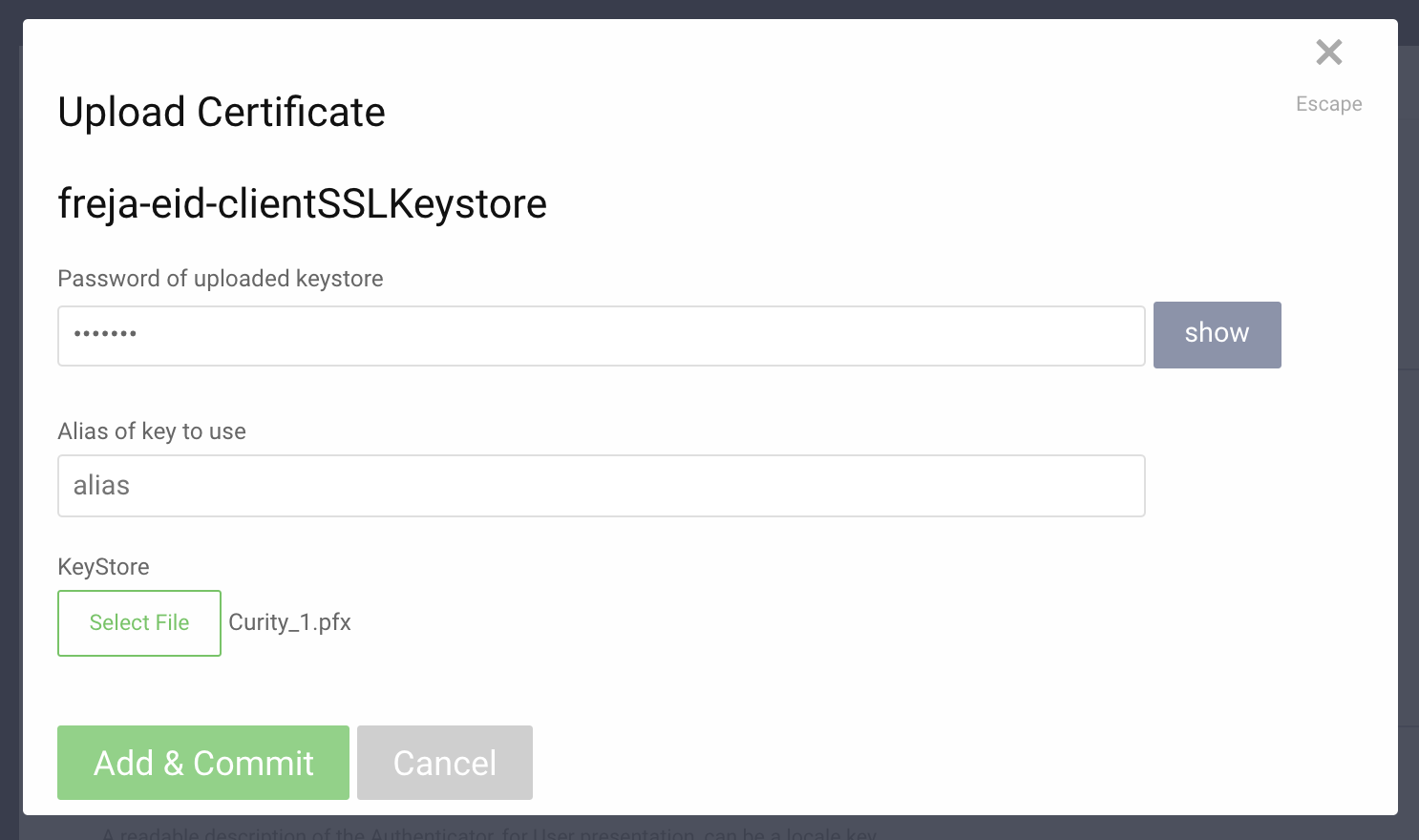 docs/images/create-client-ssl-keystore2.png