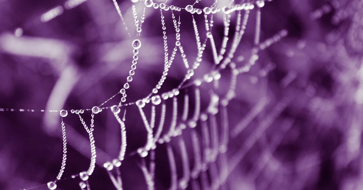 semantic web nodes