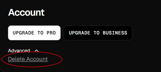 image-20250226145359068