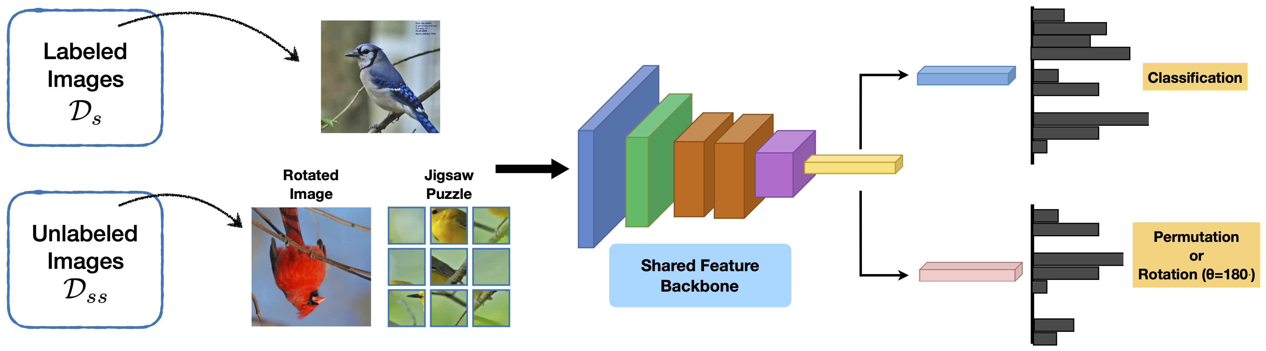 Combining supervised and self-supervised losses for few-shot learning