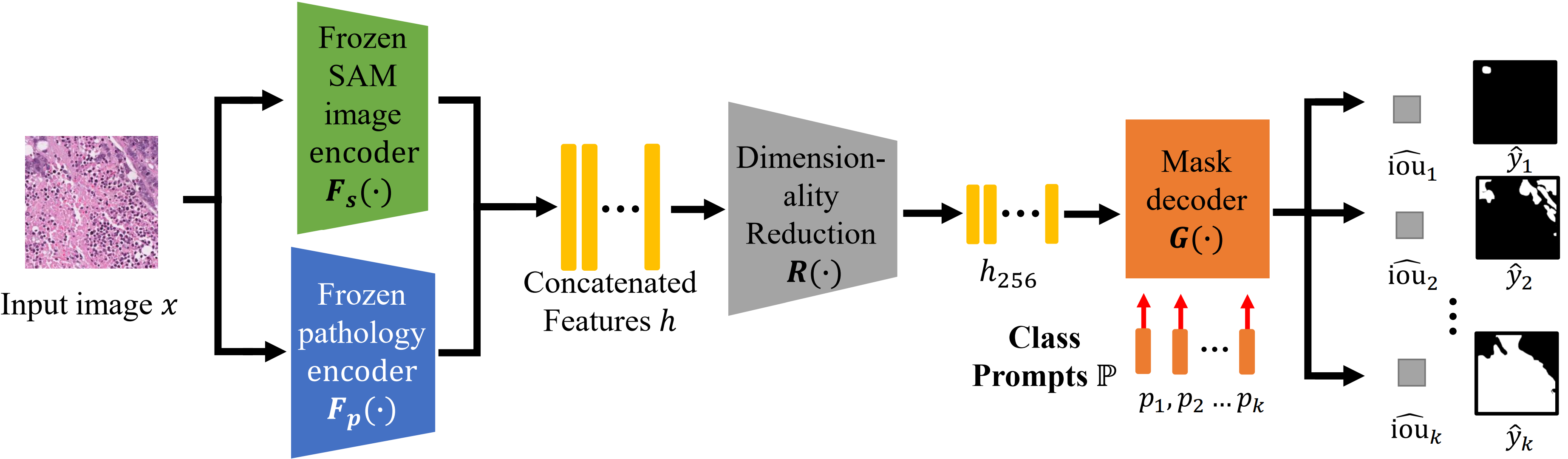 The overview of our framework.