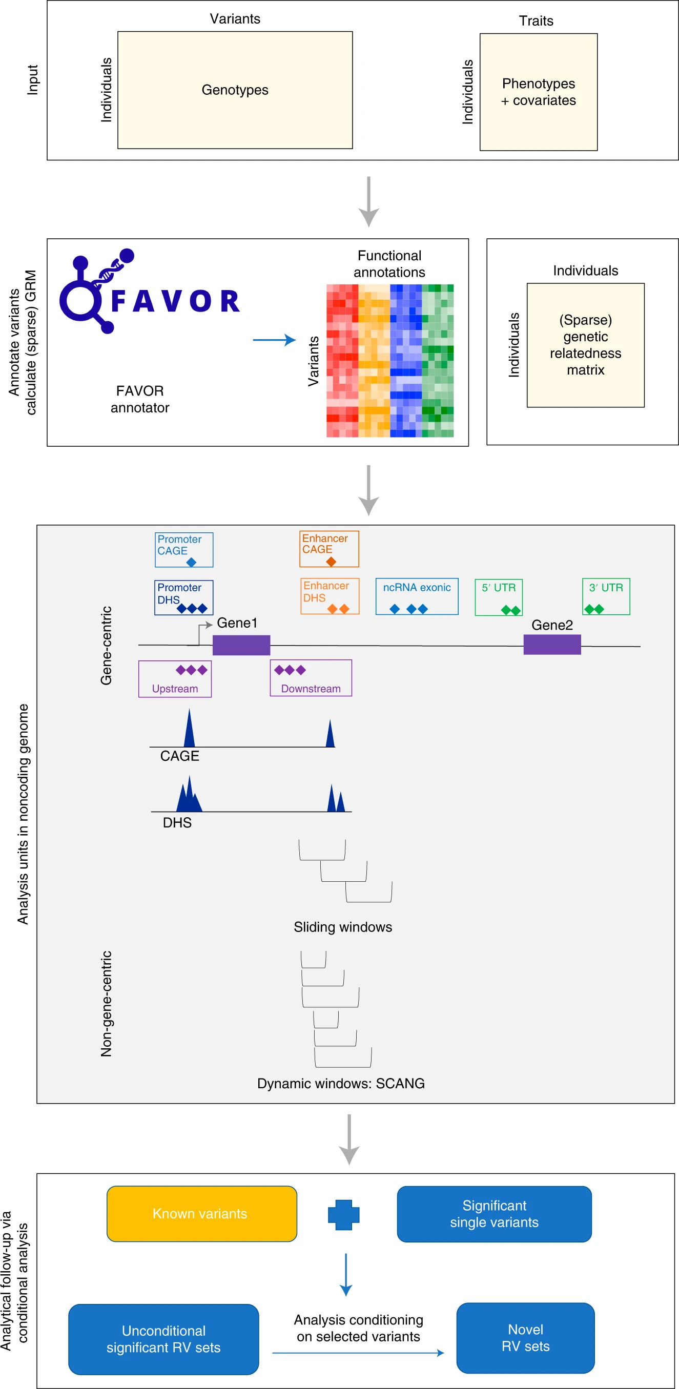 STAARpipeline_workflow