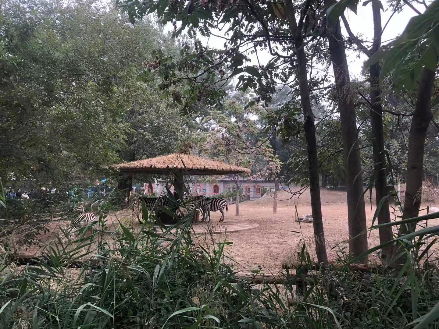 2021·10 北京·动物园