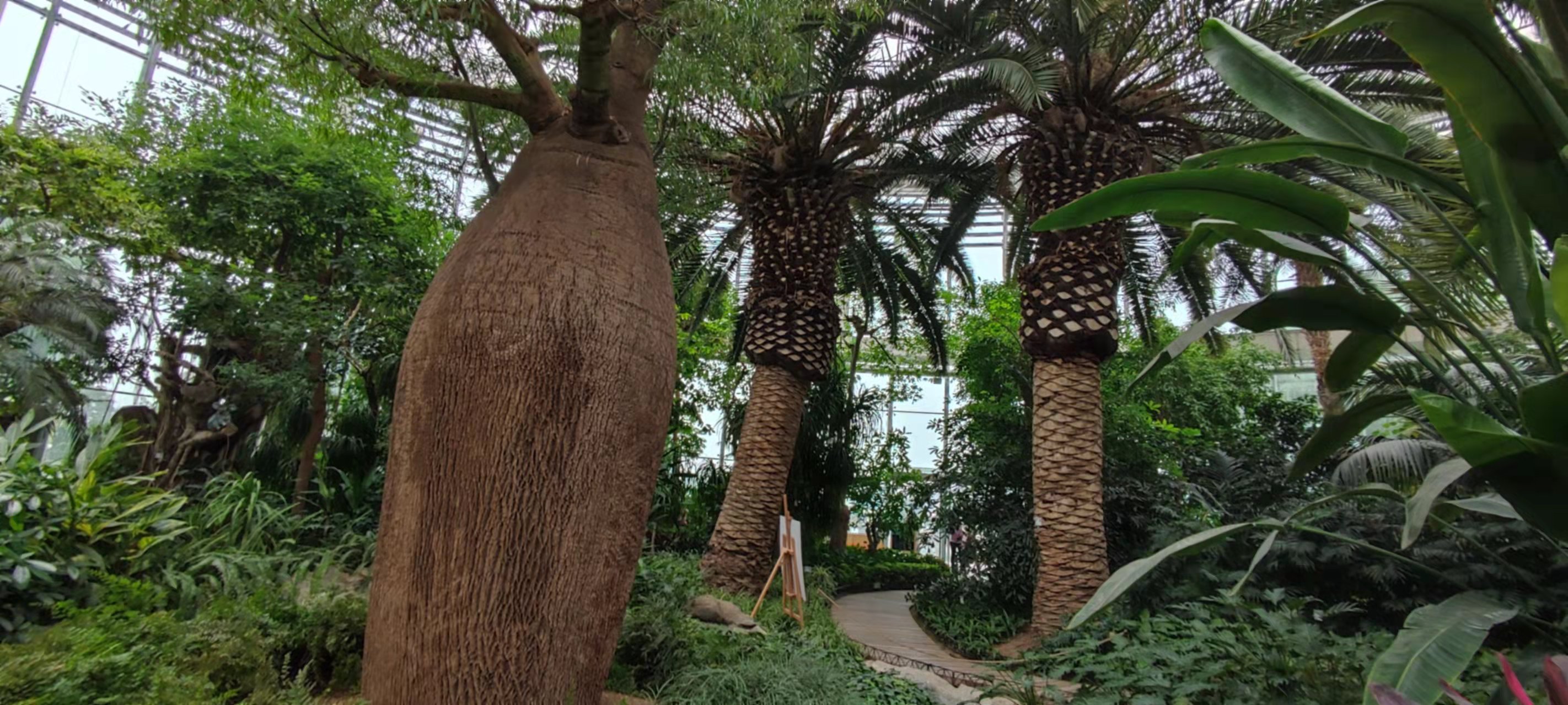 2021·10 北京·世界花卉大观园